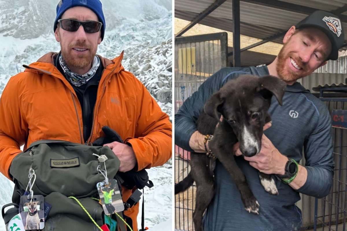 Wisconsin Man's Heartwarming Journey: From Scattering Ashes on Everest to Adopting a Three-Legged Rescue